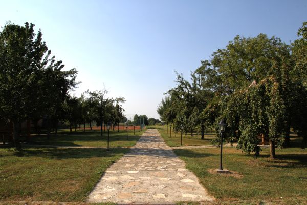 Hotel Lug (Bilje)